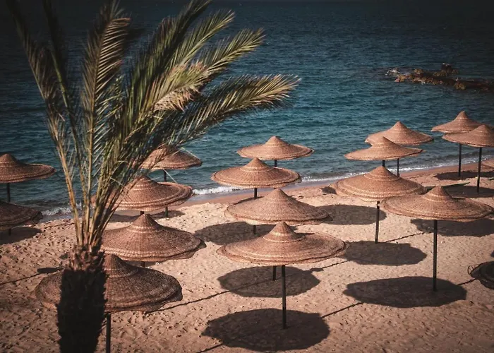 فندق Ananea &